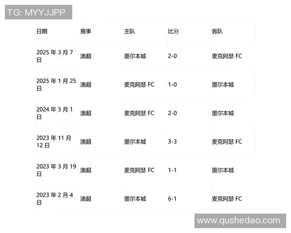 纽喷射与墨尔本城对决分析战术与球员表现的深度剖析